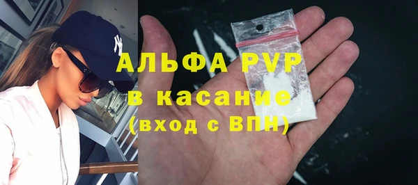 ГАЛЛЮЦИНОГЕННЫЕ ГРИБЫ Аркадак