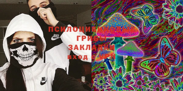 ГАЛЛЮЦИНОГЕННЫЕ ГРИБЫ Аркадак