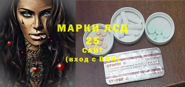 ГАЛЛЮЦИНОГЕННЫЕ ГРИБЫ Аркадак