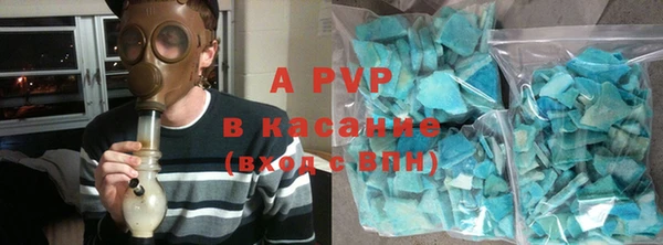 ГАЛЛЮЦИНОГЕННЫЕ ГРИБЫ Аркадак