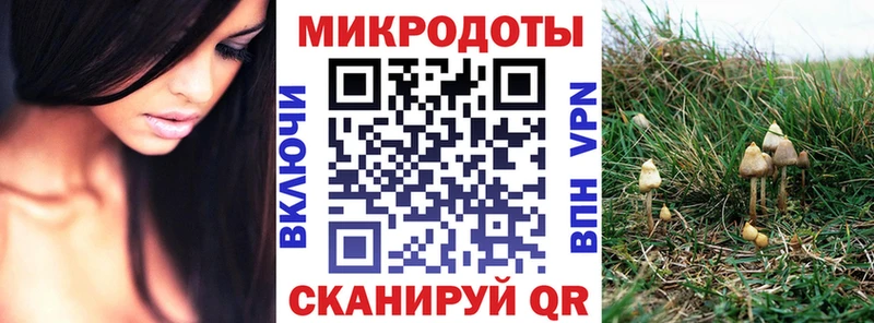 даркнет состав  Сосновка  Галлюциногенные грибы Cubensis 
